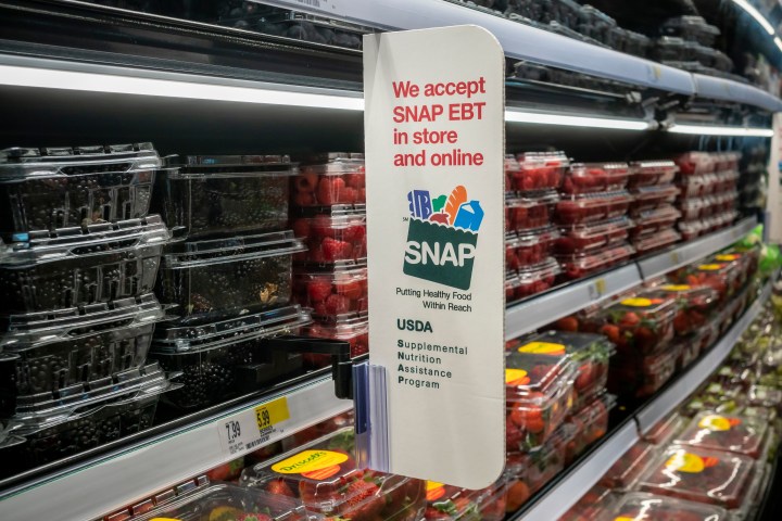 A Longstanding Program in Danger: The History of the US SNAP&nbsp;Program